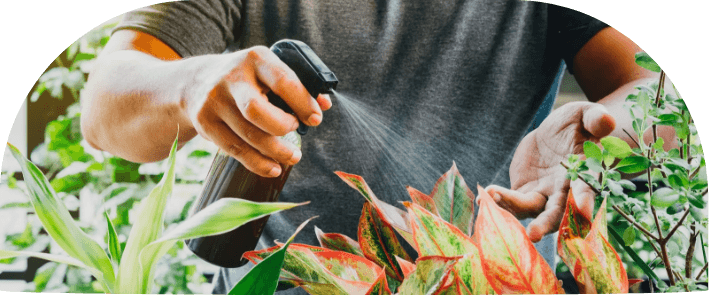 otros-productos-fertilizantes